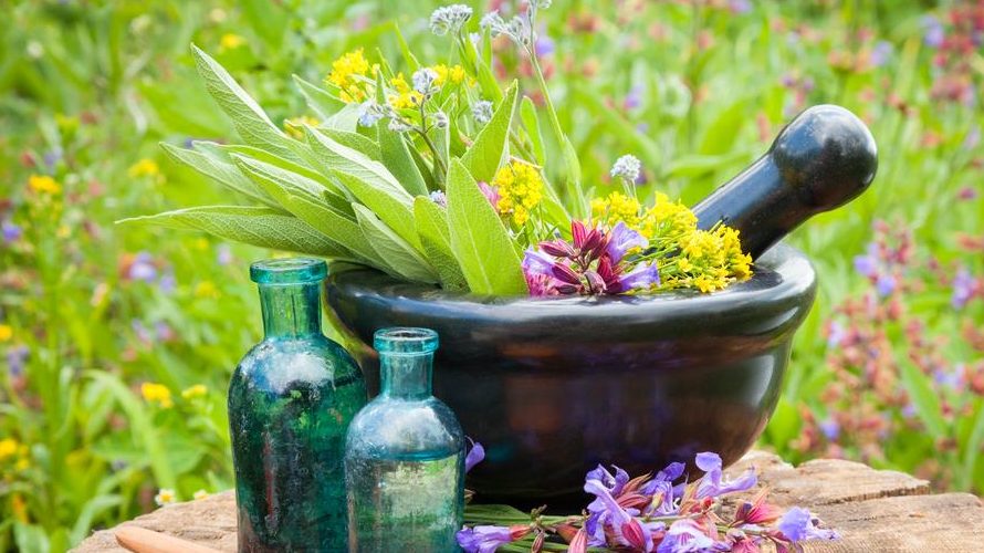 Top 6 Fabulous Antifungal Essential Oils For Fighting Fungal Infections
