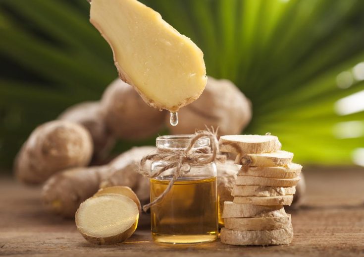 ginger essential oils for nausea