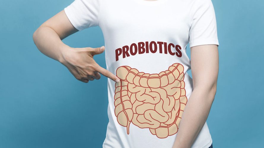 How Long Does It Take For Probiotics To Work?